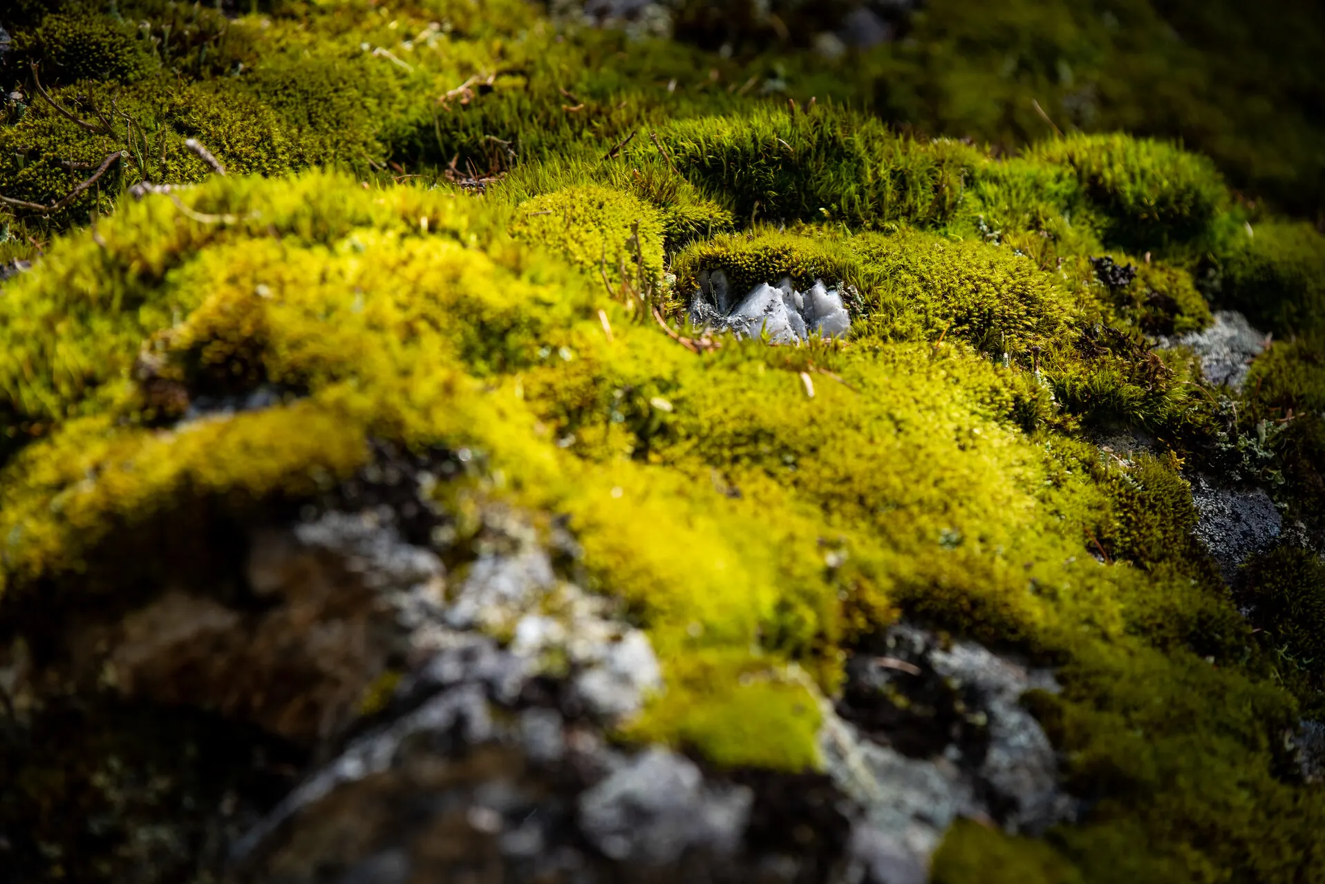 Landschaft — See_20220630-23