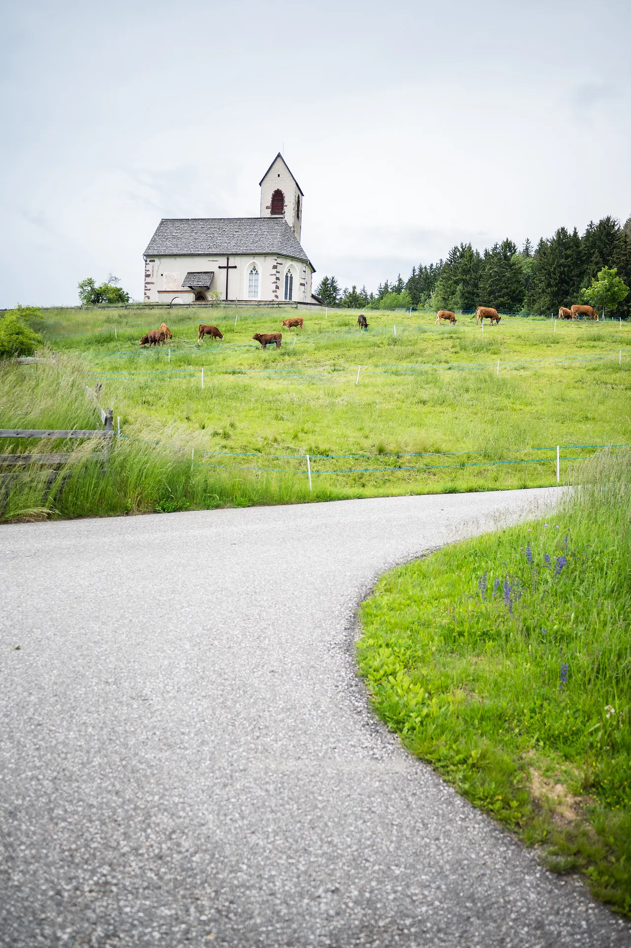 Landschaft — Suedtirol_202306_highlights-17