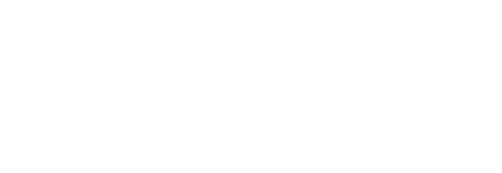 Wilhelm Büchner Hochschule